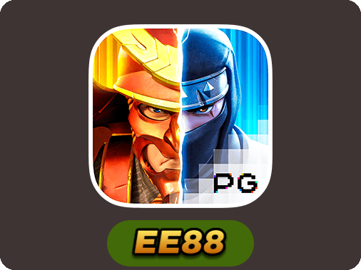 Ninja vs Samurai